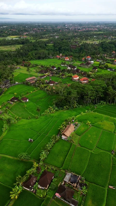 Campuhan6 from above 스톡 동영상 239969606