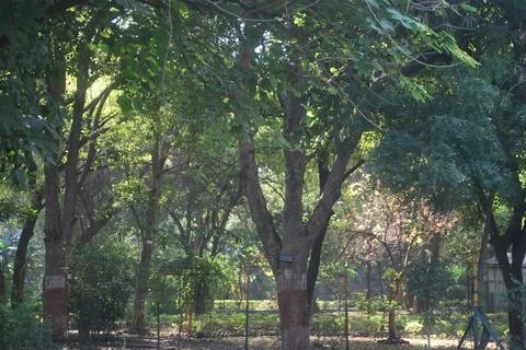 Campus file Stock Photos