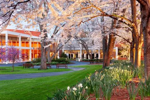 Campus Springtime at Dusk Stock Photos