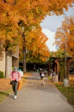 Campus Students Headed to Class - Autumn Stock Photos