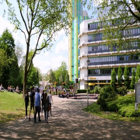 Campus at the university Stock Footage 69390106