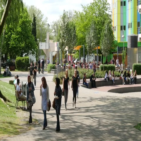 Campus at the university Stock Footage 69393118