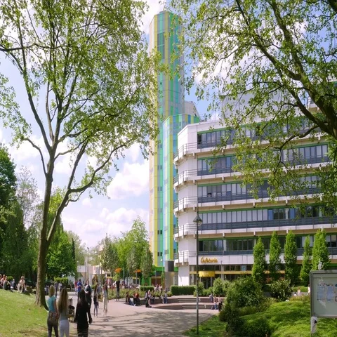 Campus at the university Stock Footage 69394941