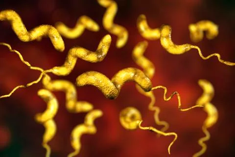 Campylobacter bacteria, the causative agent of food infections Stock Illustration