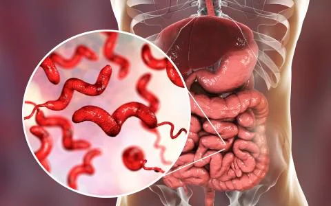 Campylobacter bacteria, the causative agent of food infections Stock Illustration