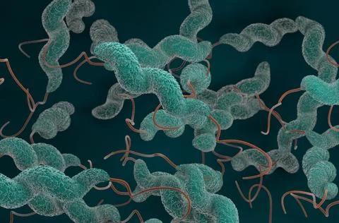 Campylobacter jejuni bacteria 3d render illustration Illustrazione stock
