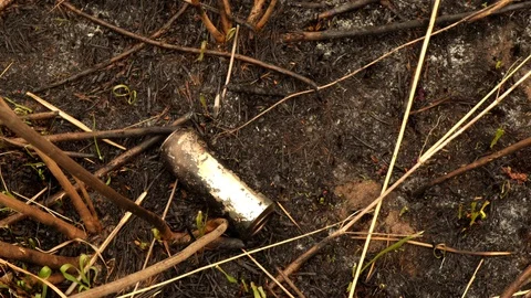 A can of beer lying on burnt grass that pollutes nature Stock Footage 128911387