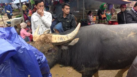 Can Cau Stock Footage 94106503