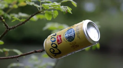 A can discarded on a tree Stock Photos