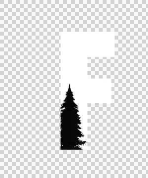 Can Glass Wrap Single Pine Tree Silhouette Stock Illustration