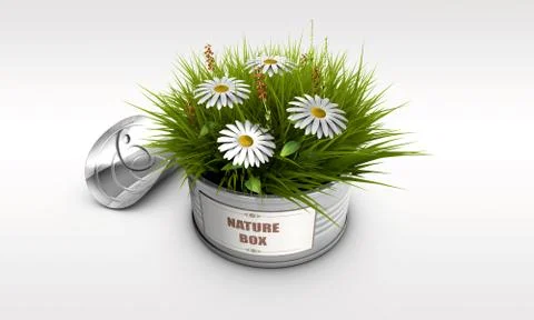 Can nature 스톡 일러스트