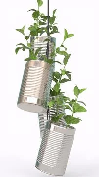 Can Planters with white background Stock Illustration