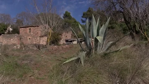 Can Robert Agave facade front path Mola Stock Footage 320547453