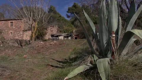 Can Robert Agave facade front path gimbal La Mola traveling Stock Footage 320547456