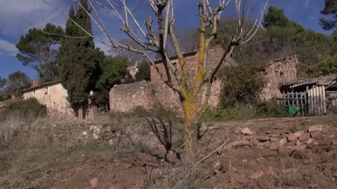 Can Robert Agave facade front path gimbal La Mola fir tree traveling Stock Footage 320547463