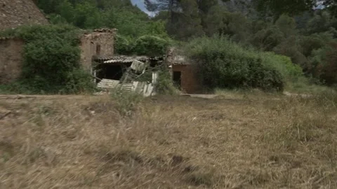 Can Robert Agave plant old stone house gimbal traveling stabilized rural Stock Footage 321873991
