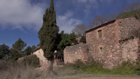 Can Robert facade front gimbal handheld La Mola fir tree traveling Stock Footage 320547511