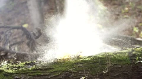 Can Shot Slow Motion 2 - 120FPS Video stock 18197222