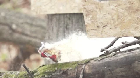 Can Shot Slow Motion 5 - 960FPS Video stock 18196600