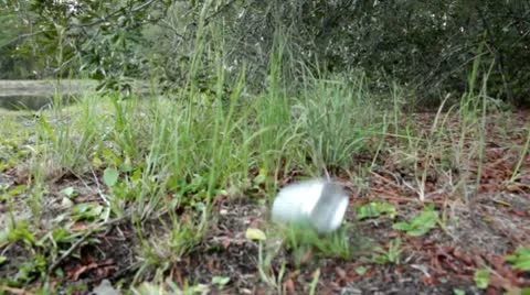 Can tossed into grass Stock Footage 8846386
