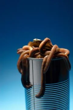 Can of worms Stock Photos