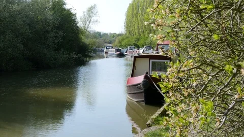 Cana lside in the summer with a bush in the foreground Stock-Footage 106989664