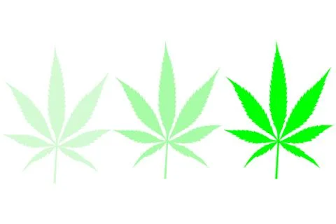 Canabis Leaf Fade Stock Illustration