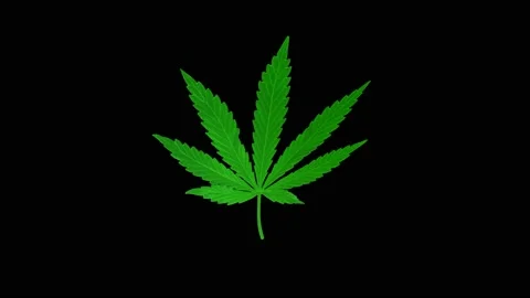 Canacbis Stock Footage 166685950