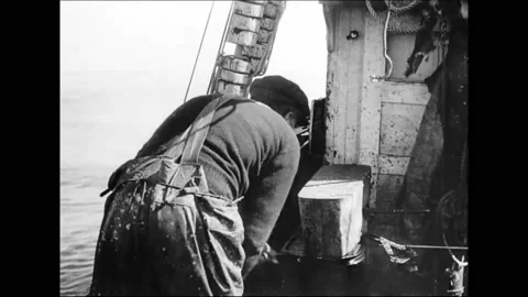 CANADA - 1922 - Halibut are cut and cleaned on a fishing boat. Stock Footage 284751074