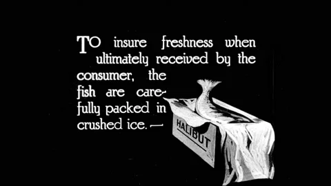 CANADA - 1922 - Halibut is packed in ice for shipment. Stock Footage 284751218