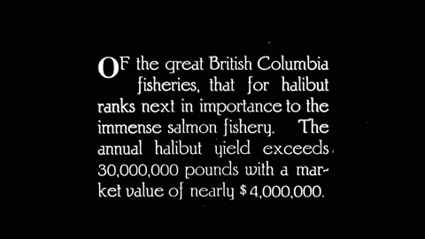 CANADA - 1922 - The value and geographical reach of British Columbia's halibut Stock Footage 284753101