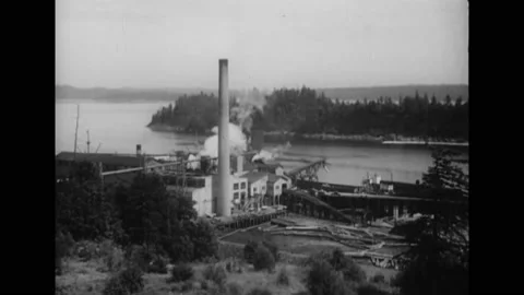 CANADA - 1935 - Logs are dumped into a mill pod until they are ready for a Video stock 277340228
