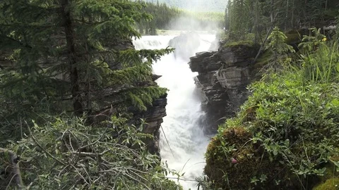 Canada alberta athabasca falls at gorge Stock Footage 74062694