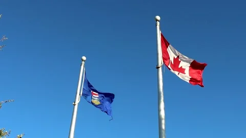 Canada and Alberta Flags Blowing in Wind Slow Motion Stock Footage 144614257
