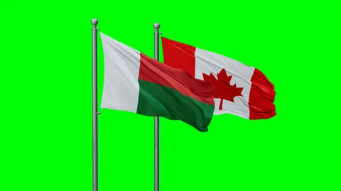 Canada and Madagascar two flags Stock Footage 295075355