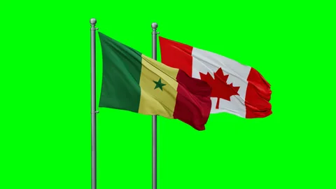 Canada and Senegal two flags Stock Footage 293214433