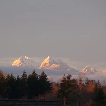 Canada in the back yard Fotos Stock