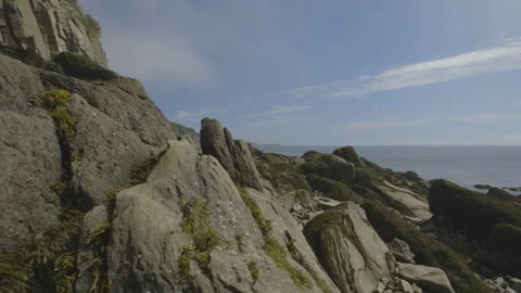 Canada, Bay of Fundy Stock Footage 144749657