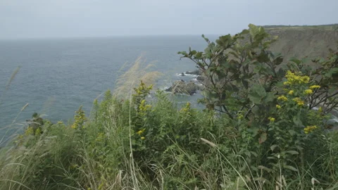 Canada, Bay of Fundy Stock Footage 144752414