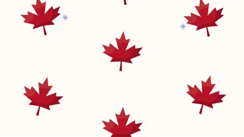 Canada celebration with maple leafs pattern Stock Footage 154809813