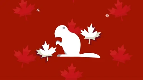 Canada celebration with maple leafs pattern and chipmunk Stock Footage 154810071