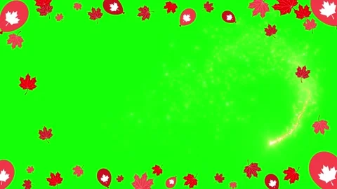Canada Day celebration background. Maple leaf balloons and autumn foliage on Stock Footage 340716017