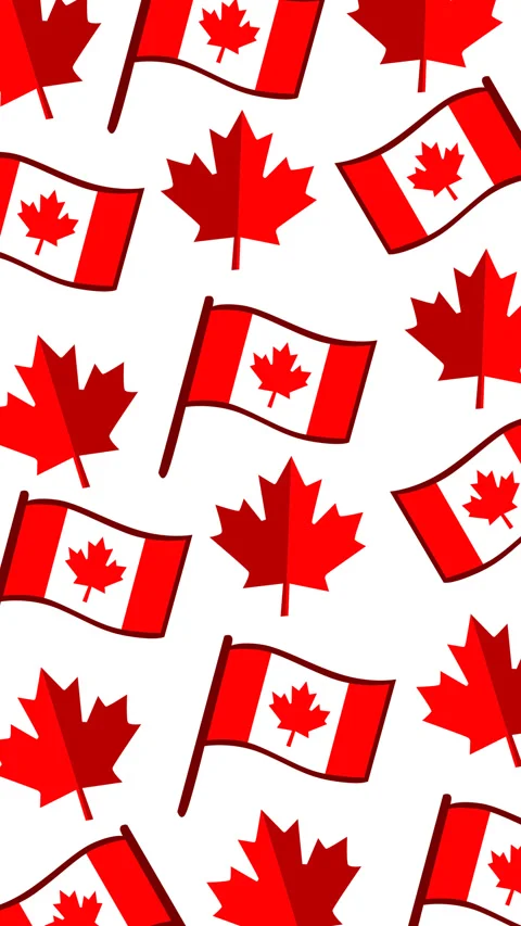 Canada Day Maple Leaf and Flag Pattern Background Stock Footage 336184551