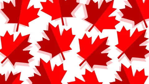 Canada Day Maple Leaf Pattern Background with Red and White Patriotic Theme Stock Footage 336167315
