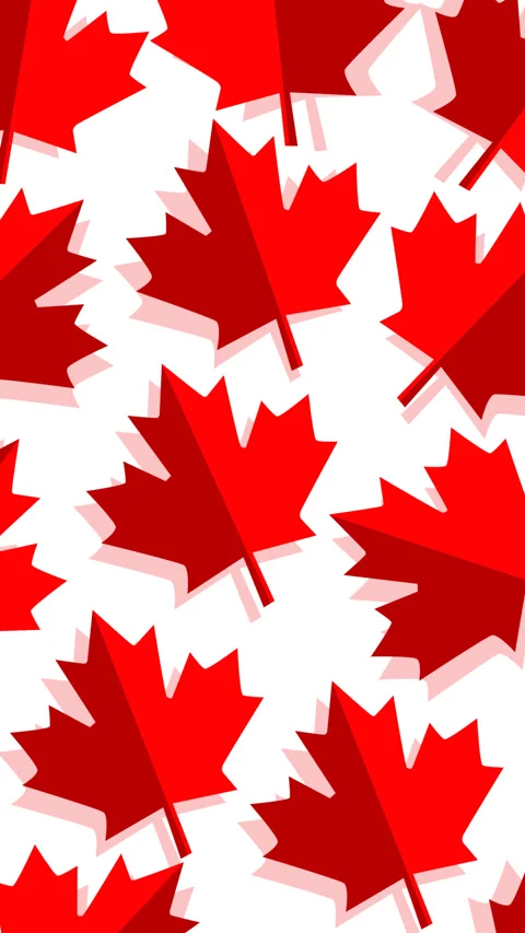Canada Day Red Maple Leaf Pattern Background Stock Footage 336186149