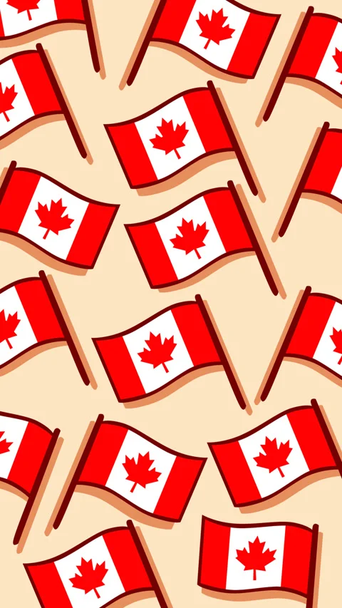 Canada Day Waving Flag Pattern Background 스톡 동영상 336186369