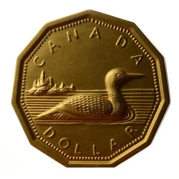 Canada Dollar Loonie Stock Photos