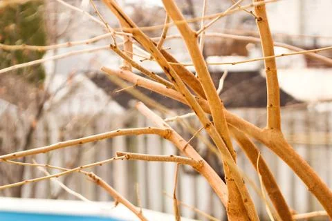 Canada Fall Stock-Fotos