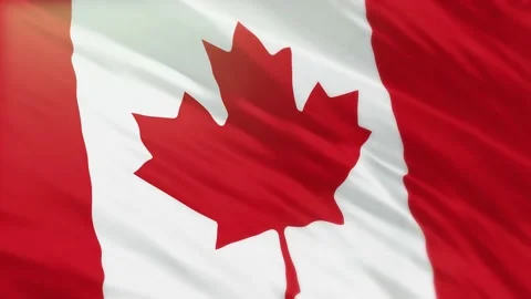 Canada flag 3d waving realistic background Stock Footage 235769749