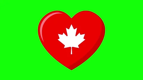Canada flag animated bouncing heart-shaped flag with maple leaf pulse loop .. Stock Footage 345505517
